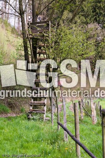 Hochstände (89 von 154).jpg